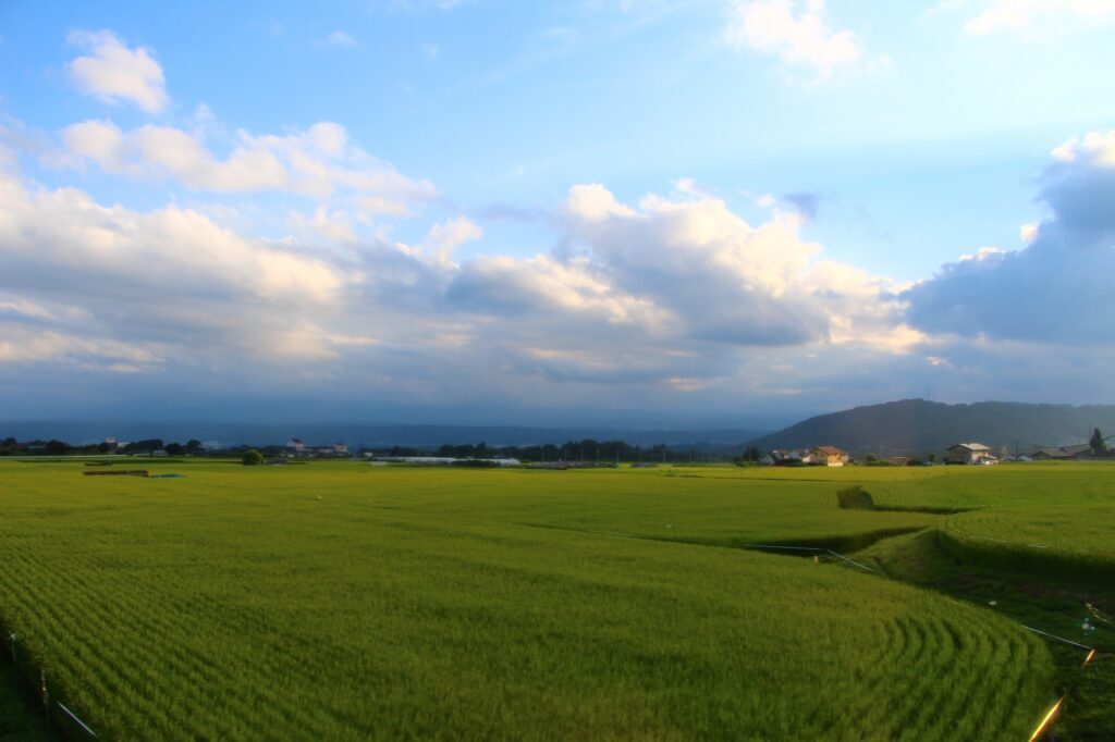 おすすめ路線84