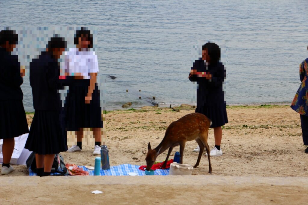 宮島旅行記47