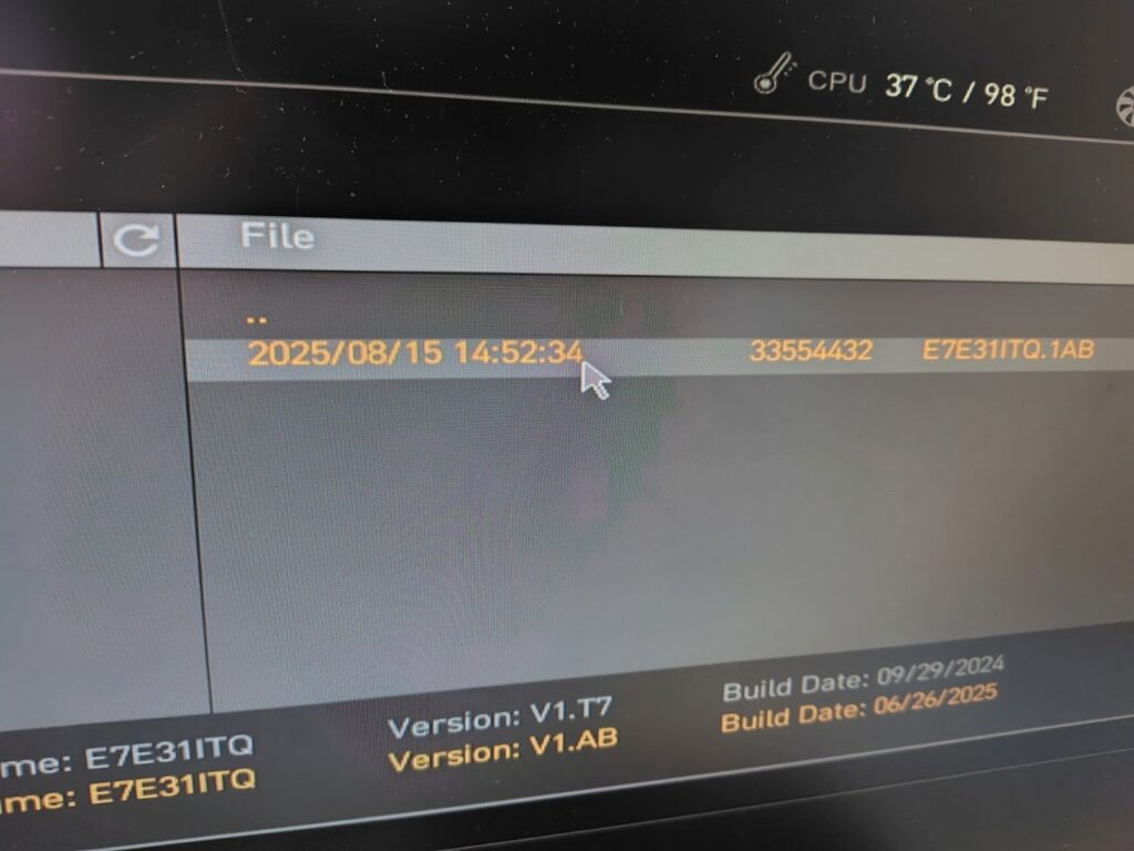 マイクロコード0x12F BIOS更新19