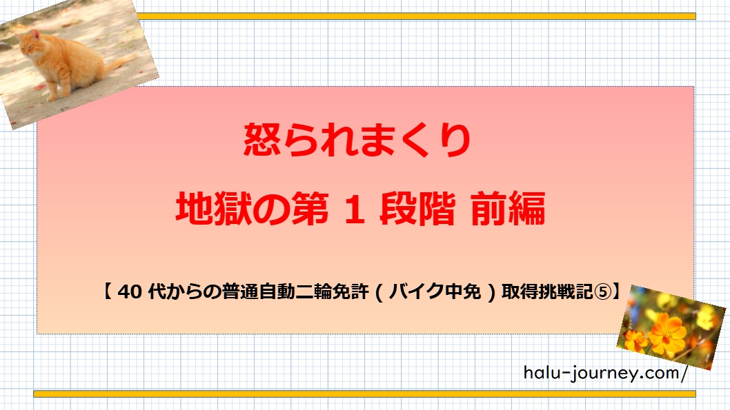 アイキャッチ バイク免許5