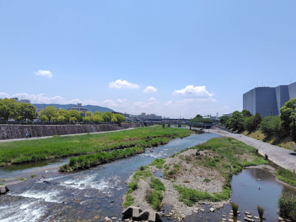 葵祭1