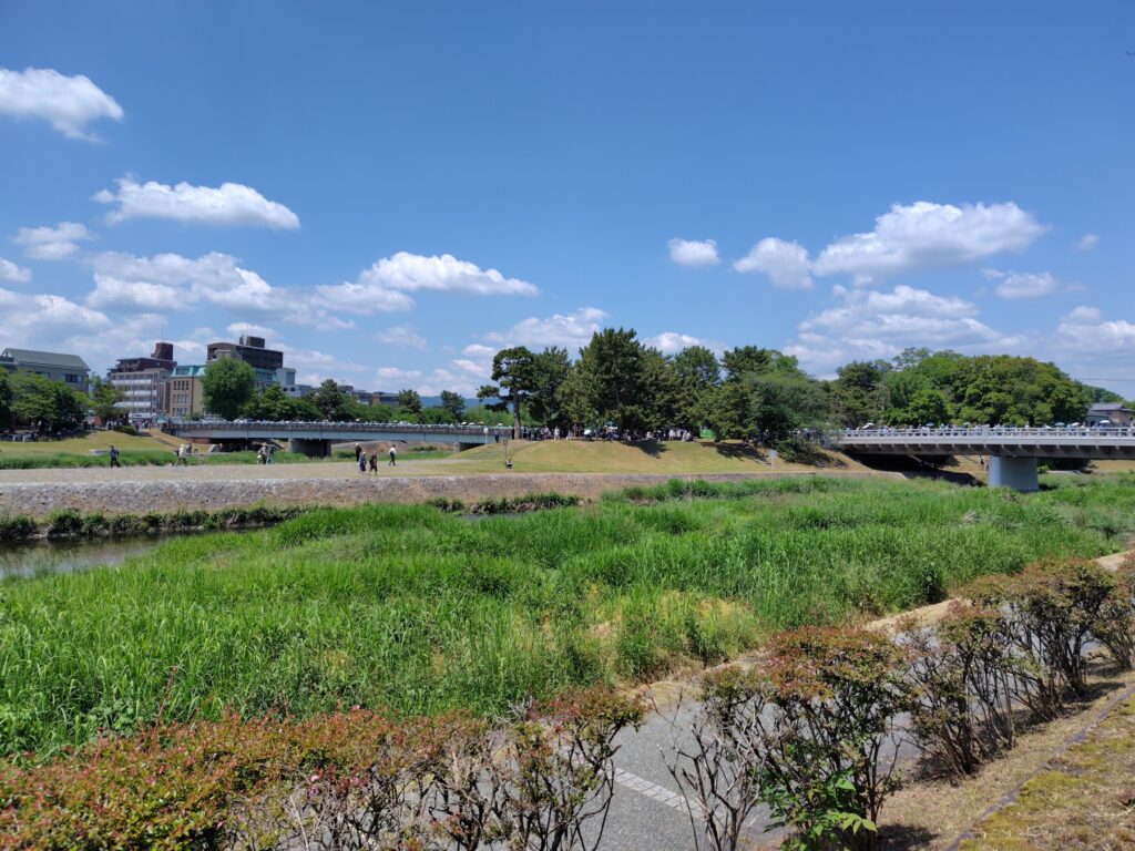 葵祭6